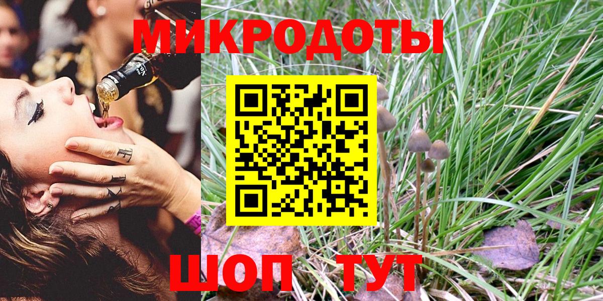 Псилоцибиновые грибы Cubensis  Галлюциногенные грибы прущие грибы  Вход с VPN  Коряжма 